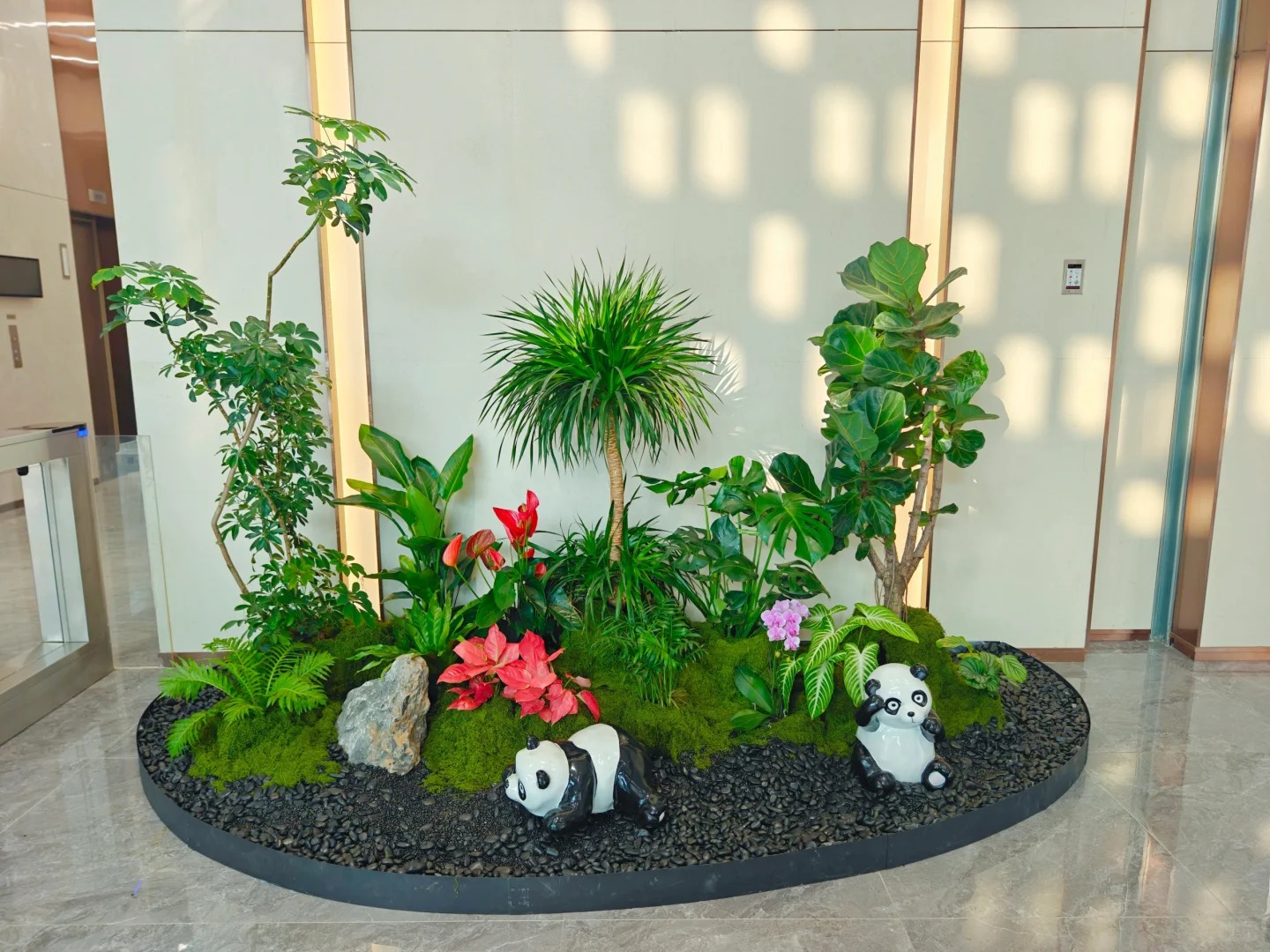 余姚植物租赁专业,绿植养护超贴心